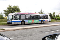 Brampton Transit 816-1