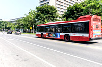 TTC Bus 8575-6