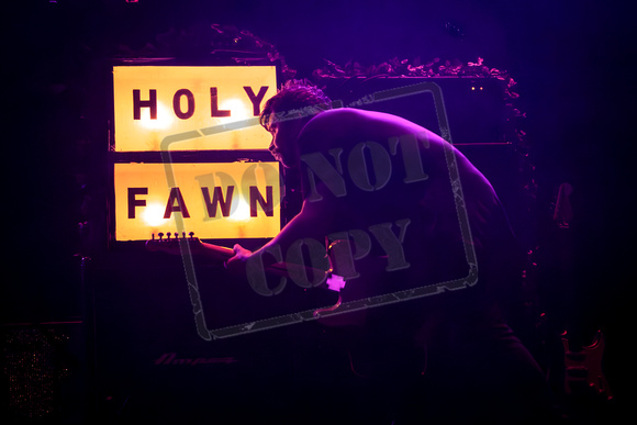 Holy Fawn-2