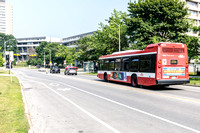 TTC Bus 8575-7