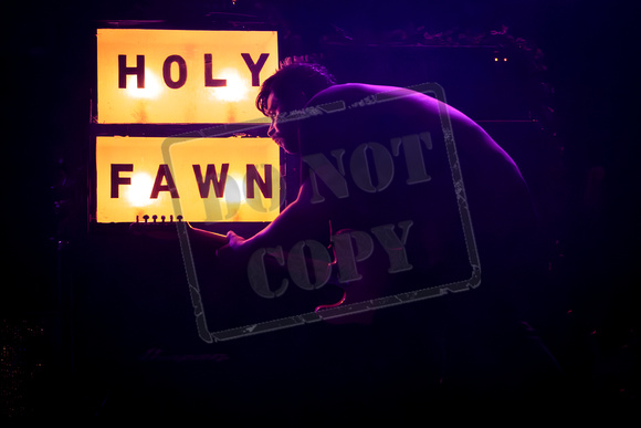 Holy Fawn-3
