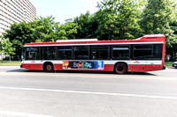 TTC Bus 8575-4