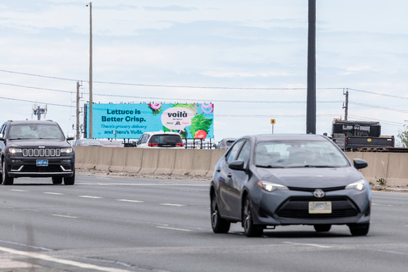 Gardiner & Kipling - Lettuce-1