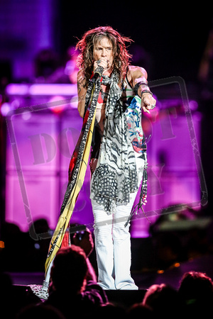 Aerosmith 2012-132