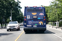 TTC Bus #3363-5