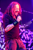Korn