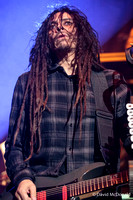 Korn