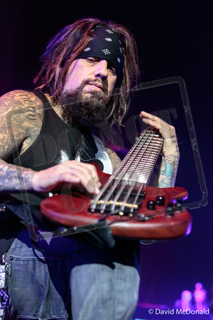 Korn