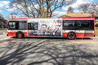TTC Bus 8217-10