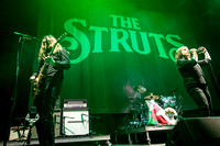 The Struts-12