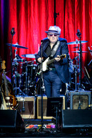 Elvis Costello-8