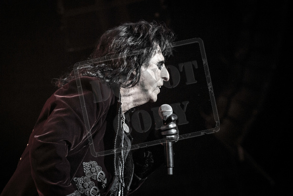 Alice Cooper 2017_-19