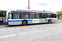 Brampton Transit 623-4