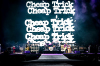 Cheap Trick-10